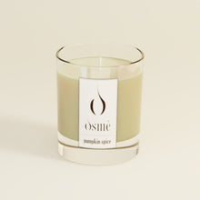 Load image into Gallery viewer, Pumpkin Spice Candle