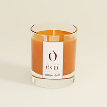 Load image into Gallery viewer, Summer Shield Candle