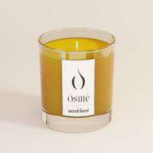Load image into Gallery viewer, Sacred Forest Candle